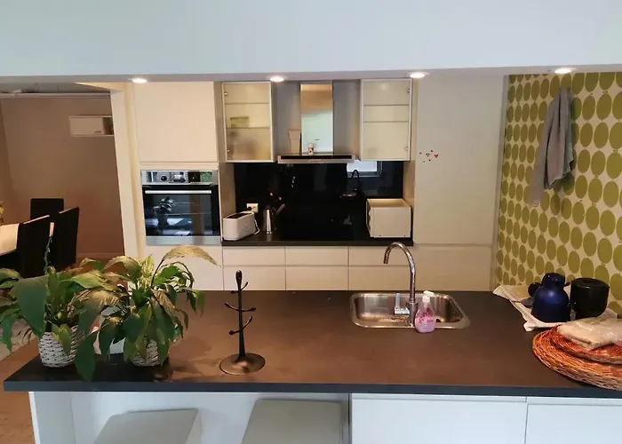 Big, Spacious Apartment With Free Parking
